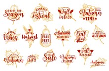 Autumn Harvest Festival, Seasonal Sales Lettering Icons. Chestnut, Maple And Oak Sketch Vector Leaves, Ripe Pumpkin And Butternut Squash, Wheat Ear. Autumn Sale Discount, October Leaves Fall Emblem