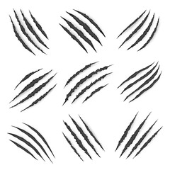 predators, wild animal claw marks, vector scratches, nail rips, tiger, bear or cat paws sherds on wh