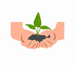 © Pitu - hand holding plant, plant in hand