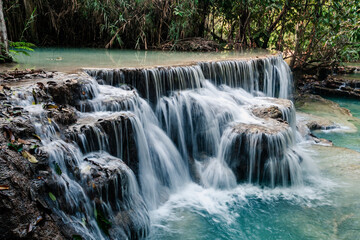 Wall Mural - amazing turquoise water of kuang si waterfall in tropical rain forest. laos