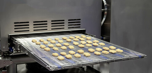 Rotary chicken nuggets meat forming machine for food industry.