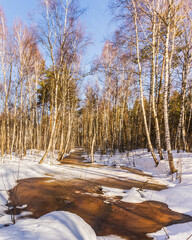 Wall Mural - A small forest river melted in the spring