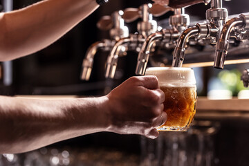 Wall Mural - Woman hands of the pub employee tapping beer into a rounded mug.