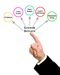 Poster - Presenting Five Drivers of Growth