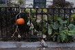Autumn Brownstone Home Garden with a Pumpkin in Brooklyn New York