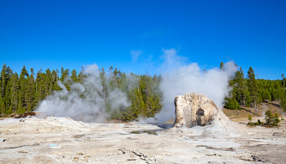 Wall Mural - Geyser