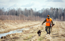 Pheasant Hunting, Hunter With Dog