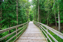 Beautiful View Of The Board Walk At Island Lake Conservation Area In Orangeville, Ontario, Canada