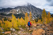 © Cavan Images - Female hiking in a basin of larches in the alpine lakes wilderness