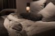 © LightItUp - Messy bed sheets quilt cover grey white cushions pillows night sleep restless comfortable relax hotel home
