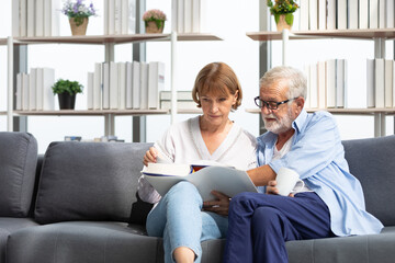 Wall Mural - senior couple reading a book and self learning in living room