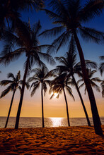 Close Up Sand Beach With Coconut Trees Background At Sunset