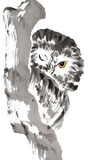 Fototapeta  - An owl winking and peeking from behind a tree trunk (painted with ink on xuan paper, oriental style) Texture of paper and brush strokes - intact. Background has been removed.
