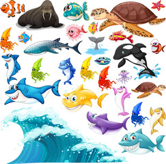 Wall Mural - different types of sea animals