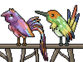 Canvas Print - pixel art fantasy colorful bird