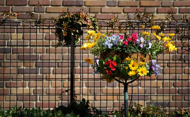 Wall Mural - Floral decoration in front of the brick fence on a sunny day
