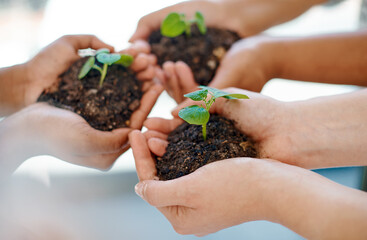 start planting your seeds of success today. cropped shot of an unrecognizable group of businesswomen