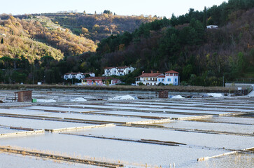 Wall Mural - Slovenia, Strunjan landscape park. Industry of salt mining. The Adriatic sea by the salt pans. 
