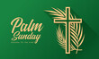 © ananaline - Palm sunday - hosana to the king gold cross crucifix sign with plam leaves around on green background vector design