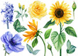 canvas print picture - Yellow and blue flowers. Rose, sunflowers, anemone and hyacinth. Watercolor illustration