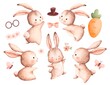 Watercolor Illustration set of Rabbit and Elements