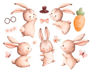 Watercolor Illustration set of Rabbit and Elements