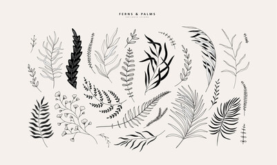 Wall Mural - Floral tropical branch of fern and palm in silhouette and line style. Hand drawn elegant exotic leaves for invitation save the date card design. Botanical trendy greenery