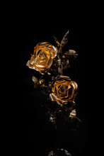 Gold Rose On A Black Background 
