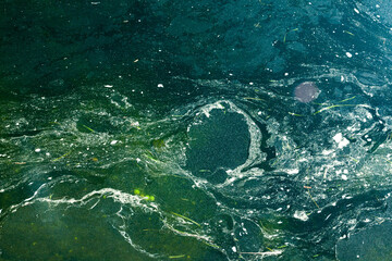 Surface of blooming water with algae. Abstract water surface background.