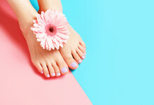 Female Legs With Pedicure On Pink And Blue Background, Top View.