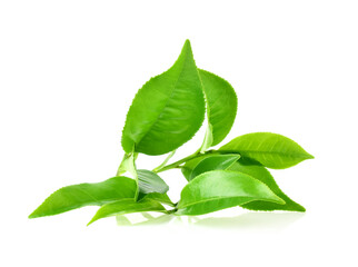 Wall Mural - Green tea leaf isolated on white background