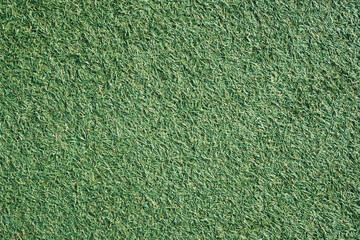 Canvas Print - Green grass texture. Artificial grass background. Lawn in backyard. Garden backdrop. Vibrant color closeup macro pattern.