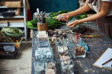 Designer using decorative elements for top dressing in a succulent terrarium