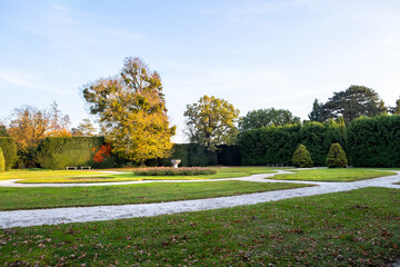 Wall Mural - green and yellow trees in early autumn park.