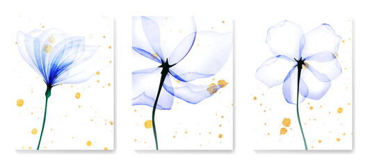 Floral art background with transparent blue flowers and golden elements. Vector botanical x-ray style poster set for decoration, interior design, invitations, packaging