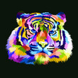 colorful head tiger pop art portrait