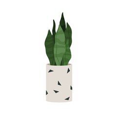 Wall Mural - Sansevieria, green plant in pot. Snake tongue leaf growing in flowerpot. Modern houseplant. Home and office interior decoration, succulent. Flat vector illustration isolated on white background