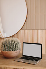 Wall Mural - laptop computer with blank copy space screen. minimalist home office desk workspace with cactus home