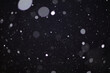 © alexkich - Snow on a black background. Snowflakes for overlay. Snow background.