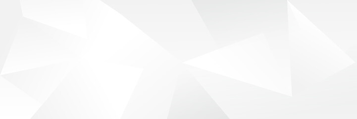 Wall Mural - abstract white geometric banner design background.