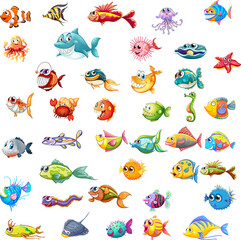 Wall Mural - Different types of sea animals