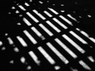 Canvas Print - dark shadow of ceiling on concrete floor with autumn leaf, black and white style