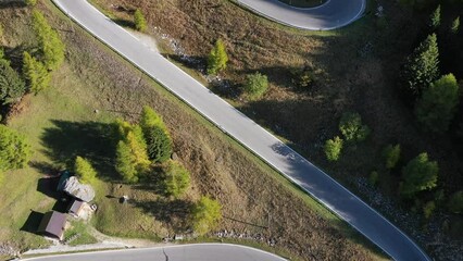 Wall Mural - a road with curves among the woods. aerial view from a drone. the dolomite alps, italy. summer lands