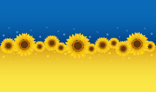 The Ukrainian Flag And Sunflowers, A Symbol Of Peace.

