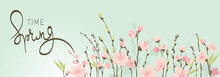 Spring Banner. Willow And Cherry Blossom. Vector Illustration, Background On The Theme Of Flowering And Spring.	