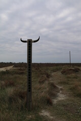 Sticker - La Sansouïre du Pont de Rousty (Camargue)