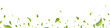 Green flying leaves frame. Leaf falling on long banner. Organic, vegan, eco design element. Wave foliage ornament. Cosmetic pattern border. Fresh tea background. Beauty product. Vector illustration