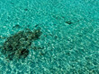 © Antonina - tropical maldives sea for background. Indian ocean