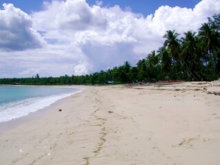 Wall Mural - Wide expanse of white sand beach in the southern part of the Philippines.