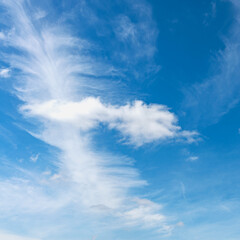 Wall Mural - blue sky with white cirrus clouds